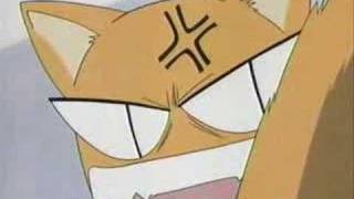 Special Kyo