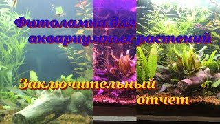 Фитолампа в аквариуме. Полный спектр.  Заключительный отчет