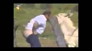 Мужик и осел