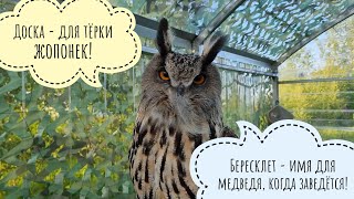 Непубличные неясности, сова Ёль припушила клювик, деревянная доска - не рубель и не для стирки! ЪУЪ!