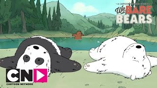 Пикник | Вся правда о медведях | Cartoon Network
