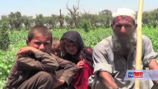 Afghan Amputee farmer, the breadwinner of the family - VOA Ashna