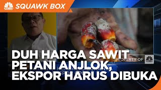 Harga Sawit Petani Anjlok, Keran Ekspor CPO Cs Harus Dibuka Kembali?