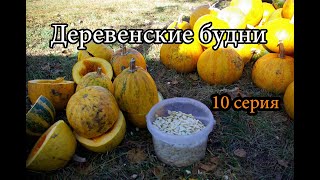 ВАРИМ ЗАТИРУХУ НА ГАЛАНКЕ. СУШИМ СЕМЕНА. ДЕРЕВЕНСКИЕ БУДНИ, 10 СЕРИЯ