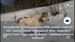 Использование USB-камеры и смартфона для подводной съемки со льда