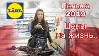 ПОЛЬША 2019 реальные цены на продукты в Польше, lidl