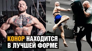 В какой форме Конор перед боем против Порье / Хабиб и Чимаев тоже будут на острове