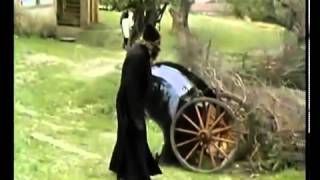 გიჟია ეს შობლეძაღლი