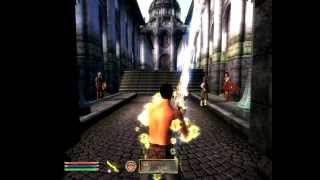 TES 4: Oblivion. Мститель и Бездна