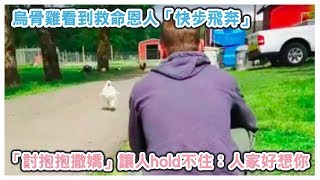 烏骨雞看到救命恩人「快步飛奔」，「討抱抱撒嬌」讓人hold不住：人家好想你～