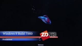 ZDNet.de - Windows 8 Build 7989: die neuen Features im Überblick