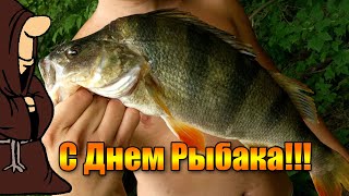 Отпраздновали на реке Сок День Рыбака, Крупные окуни на донку и спиннинг, голавль и много бели
