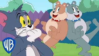 Tom & Jerry in italiano | Il fratello di Spike. 