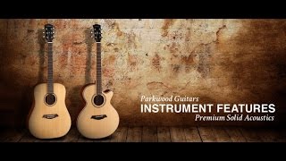 Обзор на бюджетную гитару Parkwood S27
