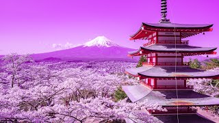 Detox Your Mind | Positive Energy Music 432Hz | Deep Healing Miracle Tone | Mindfulness Meditation