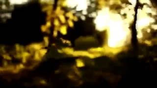 GORELOV MAX - The End X (Конец Х)