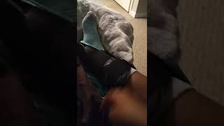 I got a bad injury* spranged ankle*