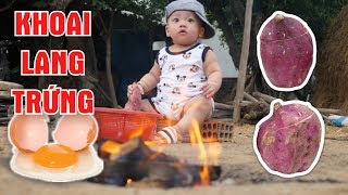 TXT - KHOAI LANG TRỨNG : MÓN ĂN SIÊU LẠ !