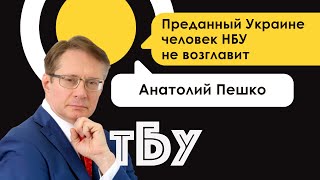 Преданный Украине человек НБУ не возглавит – Анатолий Пешко – ТОП-БЛОГЕРЫ УКРАИНЫ #97