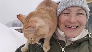 ТЕПЛАЯ ЗИМА !! ВСЕМ ХОРОШЕГО НАСТРОЕНИЯ!!!!