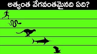 Who is the fastest and 15 Other interesting fact in Telugu || T Talks
