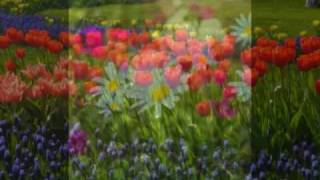 Tchaikovsky- Vals de las flores