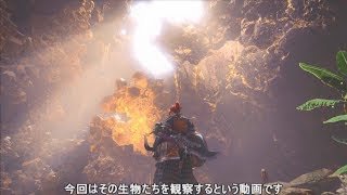 【MHW】環境生物の生態 [地脈の黄金郷]（字幕付き）