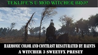U Mod The Witcher 3 Bro? Harmonic Color and Contrast RESATURATED By Haints