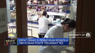 4 Orang di Mongolia Positif Bubonic Plague