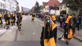 Weil am Rhein Umzug 2013 Teil 1(1/8)