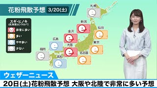 3月20日(土)の花粉飛散予想／北陸で非常に多く、東京も多い予想
