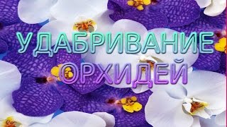 Удабривание орхидей [ ВАНДА , ФАЛЕНОПСИС , КАМБРИЯ , ДЕНДРОБИУМ ]