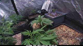 Seguimiento autopot jack 47