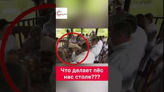 Лукашенко ВЗОРВАЛ ВСЕ СОЦСЕТИ! Люди были В ШОКЕ, когда это увидели!