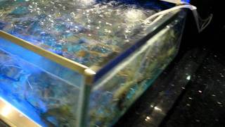 澳門新葡京酒店 自助山 The Grand Buffet