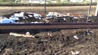 Продаётся новый дом в станице выселки Краснодарский край