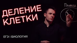 Деление клетки | ЕГЭ Биология | Даниил Дарвин
