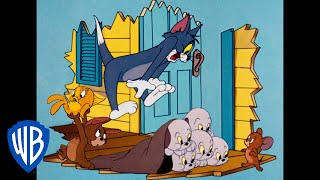 Tom & Jerry in italiano | Salviamo la Giornata! 