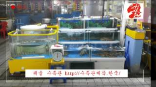 중고 수족관 업소용 회집 활어 여과기 대형 주문제작