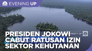 Presiden Jokowi Cabut Ratusan Izin Sektor Kehutanan Seluas Jutaan Hektare