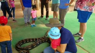 Our mowgli meets Kaa