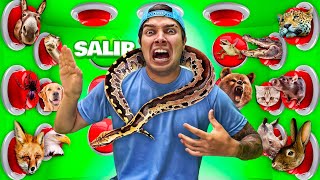 100 BOTONES MISTERIOSOS DE ANIMALES SOLO 1 PARA ESCAPAR !! NIVEL EXTREMO !!