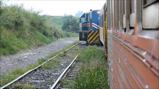 Trenes en San José y Limón