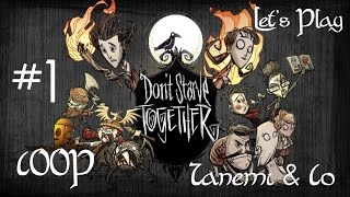 Наглая бабулька - Don't Starve Together #1