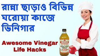 কাছে আছে ভিনিগার, সেরে ফেলুন এই ১১ ধরণের কাজ | 11 Awesome Vinegar Life Hacks for you | *b2utips*