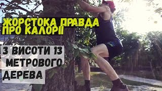 Професійний ДЕРЕВОЛАЗ: жорстока ПРАВДА про калорійність їжі.