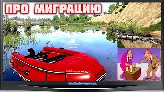 Русская рыбалка 4 Волхов Миграция