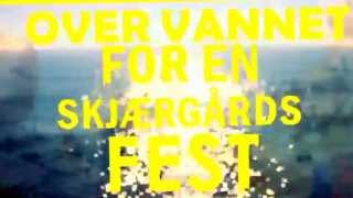DJ broiler live edit vannski
