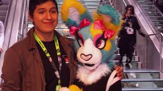 BUYING THICC FURRIES! #MFF