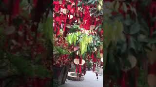 Fenghuang Mountain in Shenzhen China